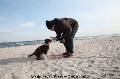 Mathilda-11-Wochen - 2012-03-05c-4