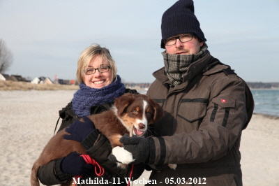 Mathilda-11-Wochen - 2012-03-05d-4